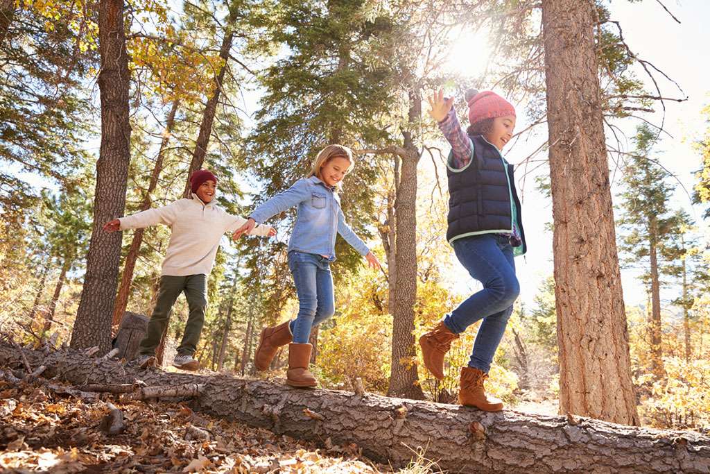, Tips from Your Real Estate Agent: The Best Fall Activities in Collingwood