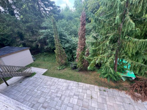 158 Osprey Heights, Grey Highlands, ON N0C 1M0, Canada