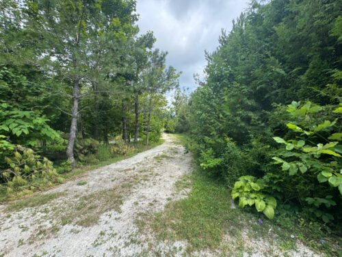 158 Osprey Heights, Grey Highlands, ON N0C 1M0, Canada