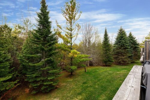 9 Royalton Lane, Collingwood - Keleher + Co. - Yard